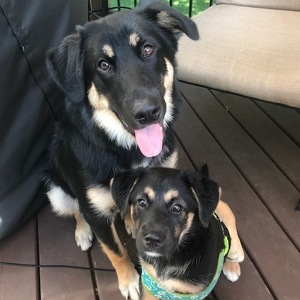 Fundraising Page: Karen Chorney